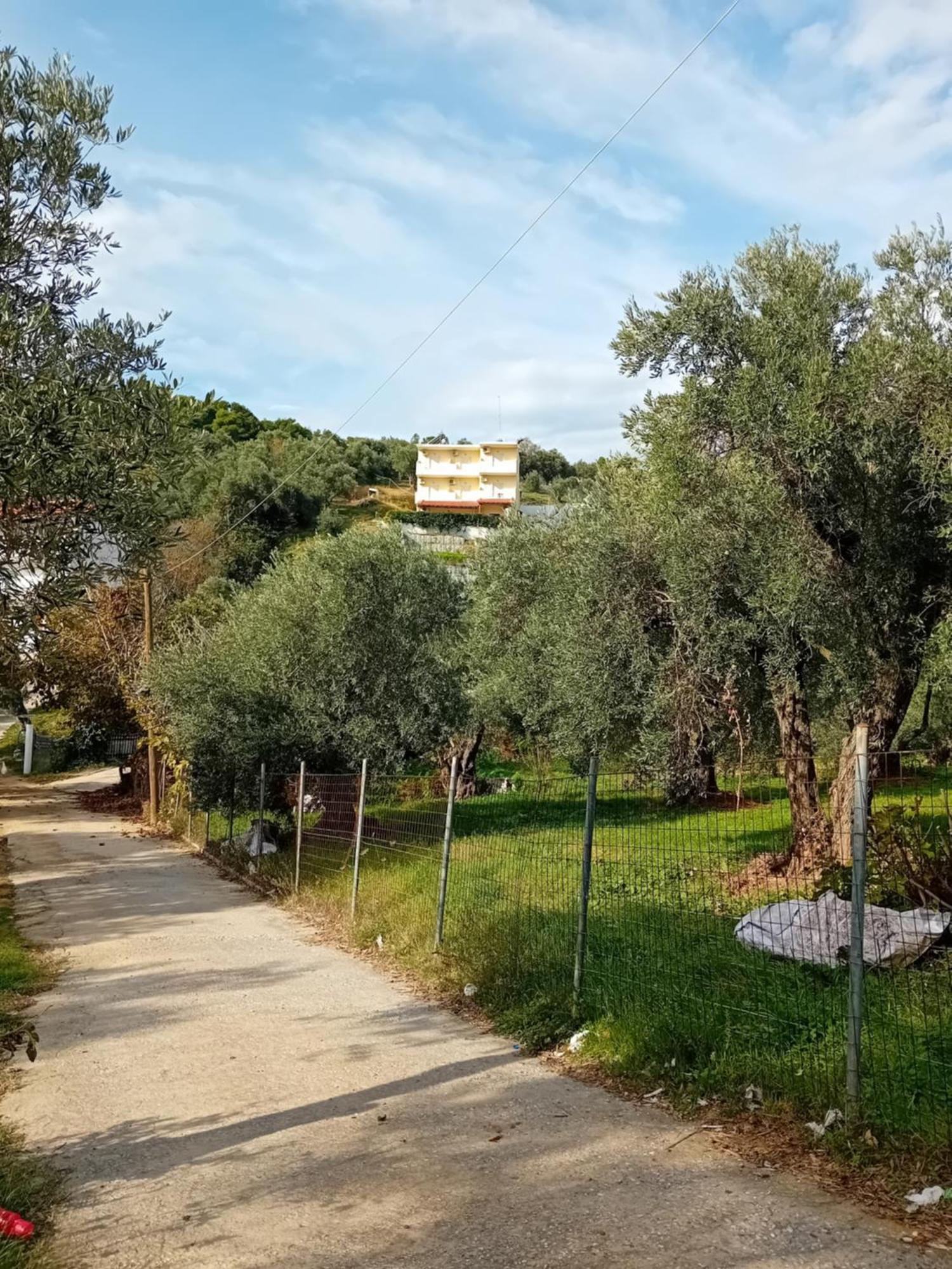 Villa Krini Skiathos Town Exterior photo
