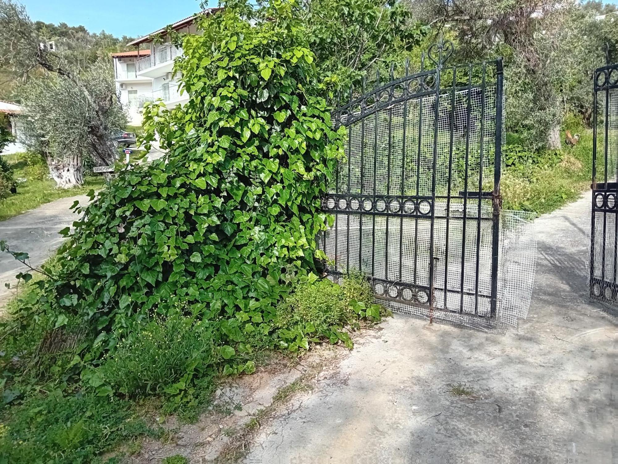 Villa Krini Skiathos Town Exterior photo